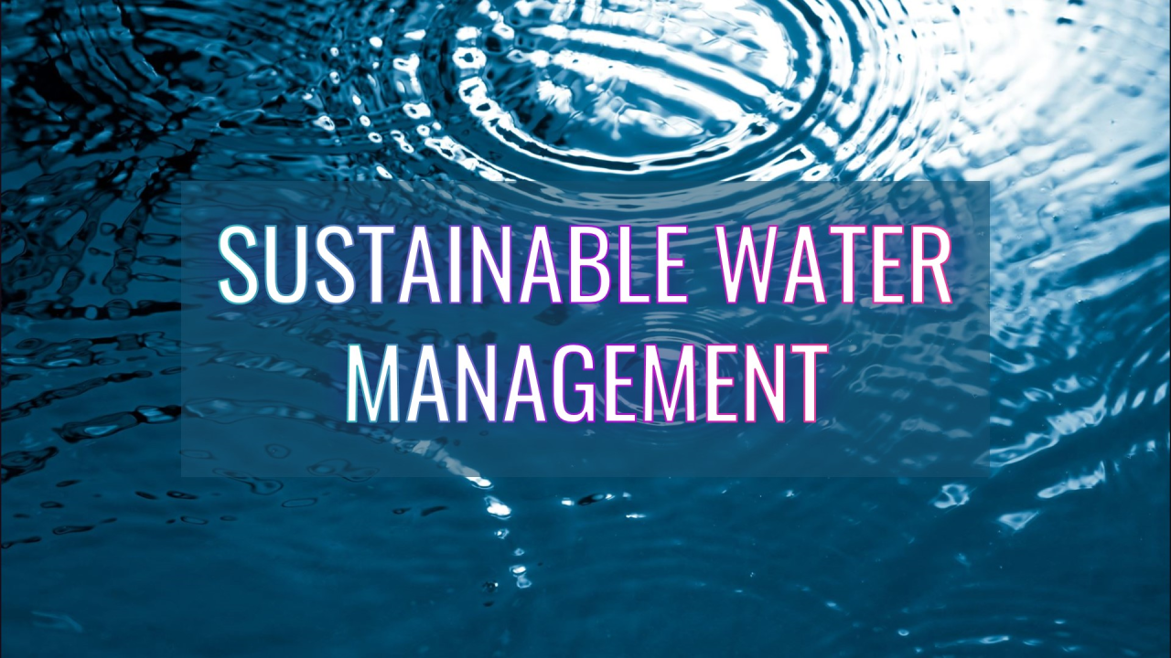Effective Water Demand Management Strategies for Sustainable Urban ...