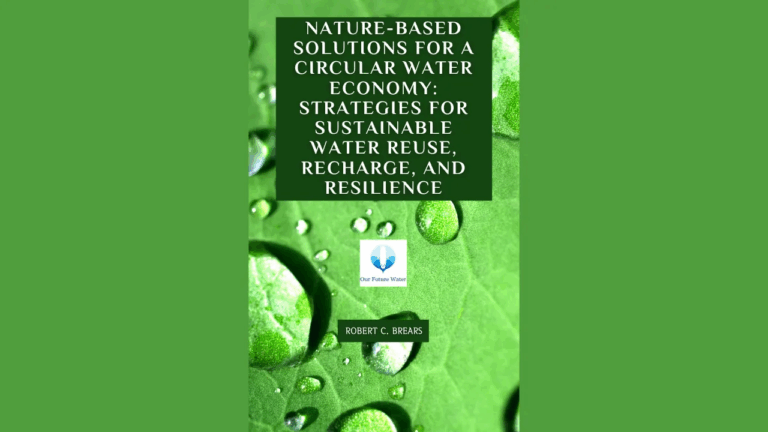 A practical guide to nature-based solutions for circular water systems, featuring strategies for reuse, recharge, and sustainable urban design.