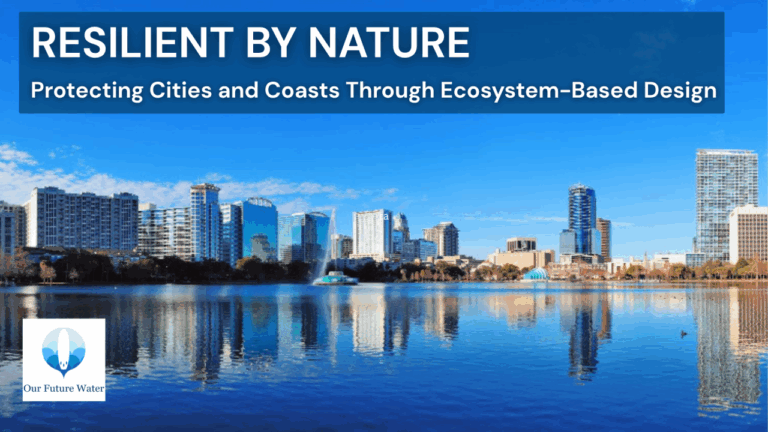 Skyline and waterfront reflecting city buildings, symbolizing resilient coastal cities protected through ecosystem-based design.