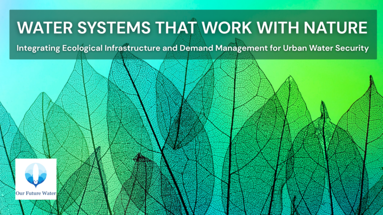 Nature-based water systems illustrating ecological infrastructure and demand management for urban water security.