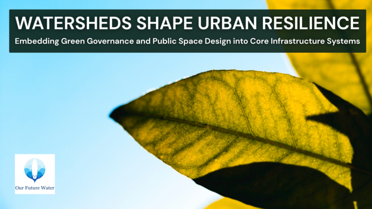 Close-up of sunlit green leaf symbolizing urban green infrastructure, watershed governance, and nature-based climate adaptation