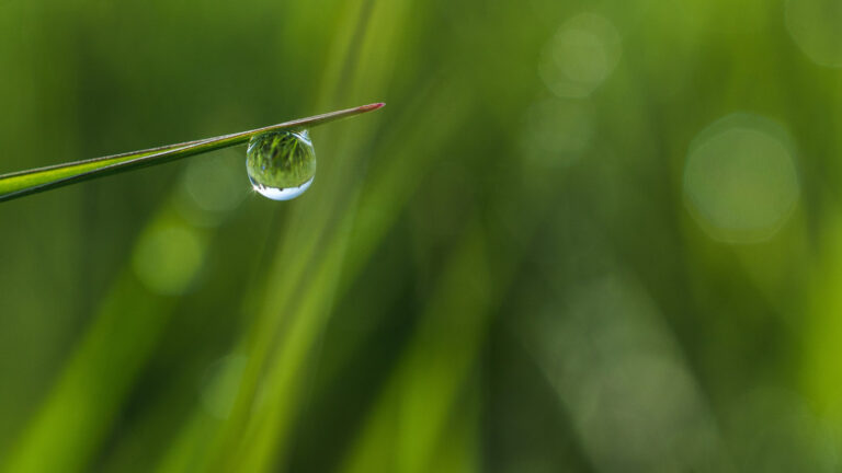 Close-up of a water droplet on a green leaf representing smart irrigation, water efficiency, and sustainable resource management