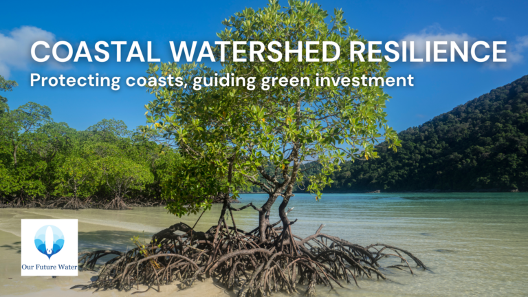 Nature-based infrastructure supporting urban water resilience through coastal protection, watershed planning, and green infrastructure.
