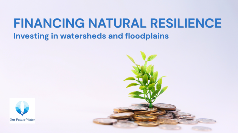Natural infrastructure for water resilience integrating restored catchments, floodplains and engineered water systems.